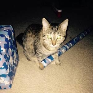 Meet your Posher, Shawna l